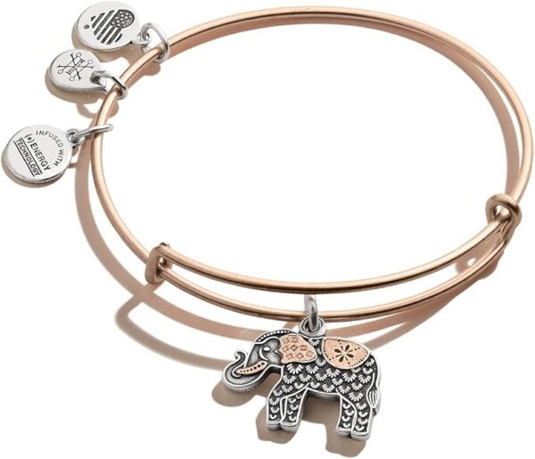 Alex and Ani Path of Symbols Expandable Bangle for Women