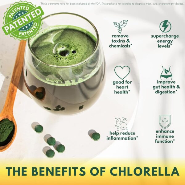 Sunlit Best USDA Organic Chlorella Powder - Green Algae, Raw - Image 5